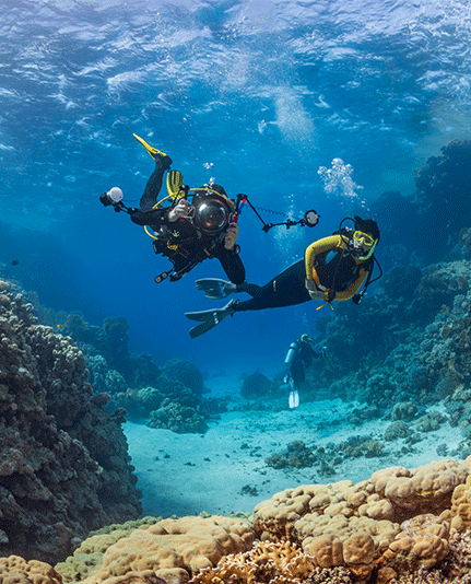 Diver exploring deep sea underwater — deep sea exploration trip by Travexventures